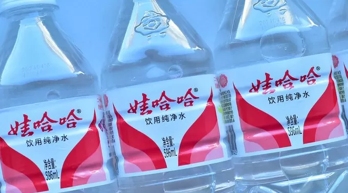 【独家】被传接受调查的娃哈哈核心成员严学峰已正常上班-第2张图片-