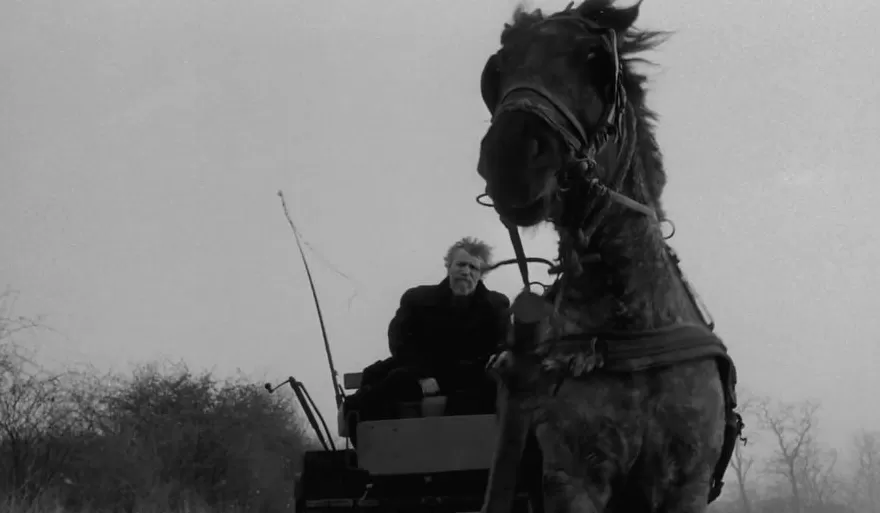 拉斯洛·卡撒兹纳霍凯与贝拉·塔尔：文与影的双生子-第11张图片-