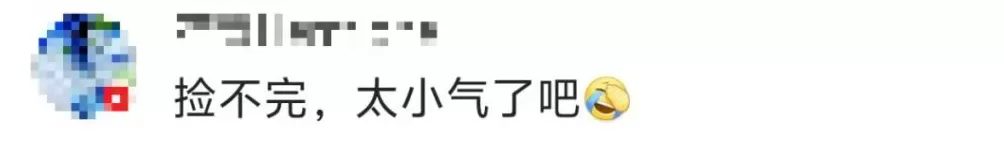 一景区禁止游客捡枫叶,是小题大做吗?-第3张图片- 一景区禁止游客捡枫叶,是小题大做吗?-第3张图片-