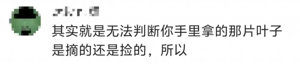 一景区禁止游客捡枫叶,是小题大做吗?-第6张图片- 一景区禁止游客捡枫叶,是小题大做吗?-第6张图片-