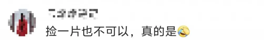 一景区禁止游客捡枫叶,是小题大做吗?-第5张图片- 一景区禁止游客捡枫叶,是小题大做吗?-第5张图片-