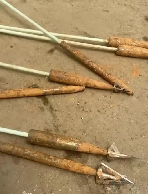 湖南长沙一猪场现多支锋利箭头，怀疑无人机射杀猪后遗留-第1张图片-