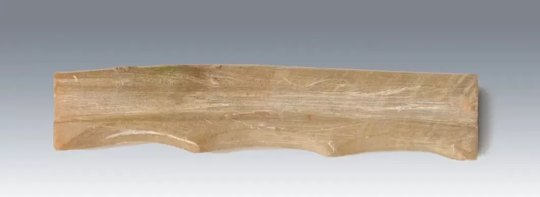 唐朝宰相张九龄夫人墓被发现-第10张图片-