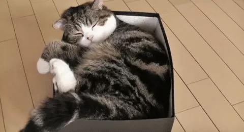 少了这2小时，每天睡够8个小时都没用-第4张图片-