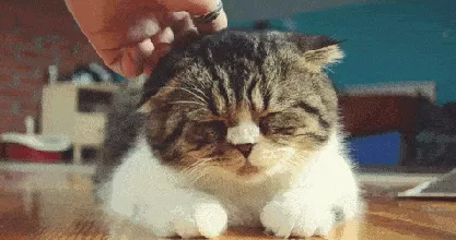 少了这2小时，每天睡够8个小时都没用-第10张图片-