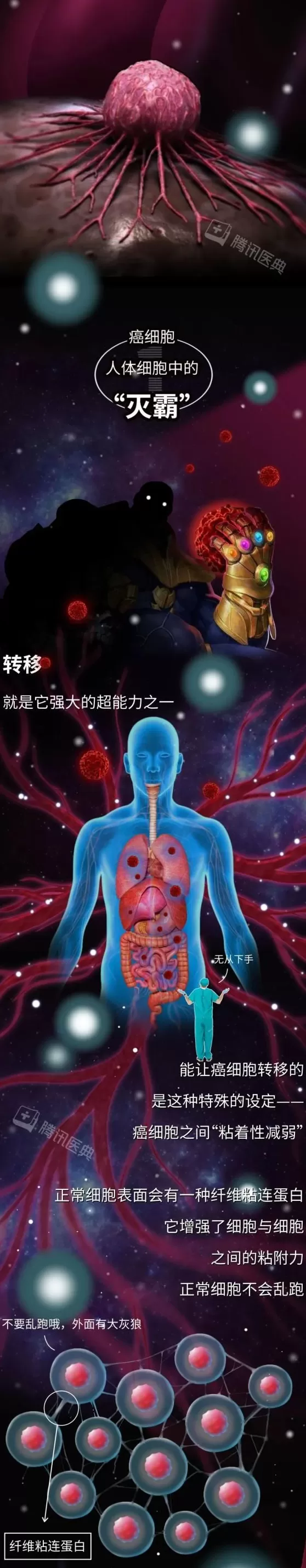 癌细胞，是怎样在身体里跑来跑去的？-第3张图片-