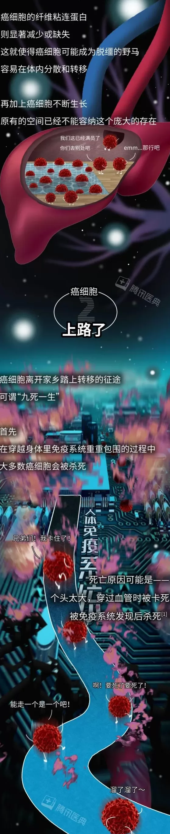 癌细胞，是怎样在身体里跑来跑去的？-第4张图片-