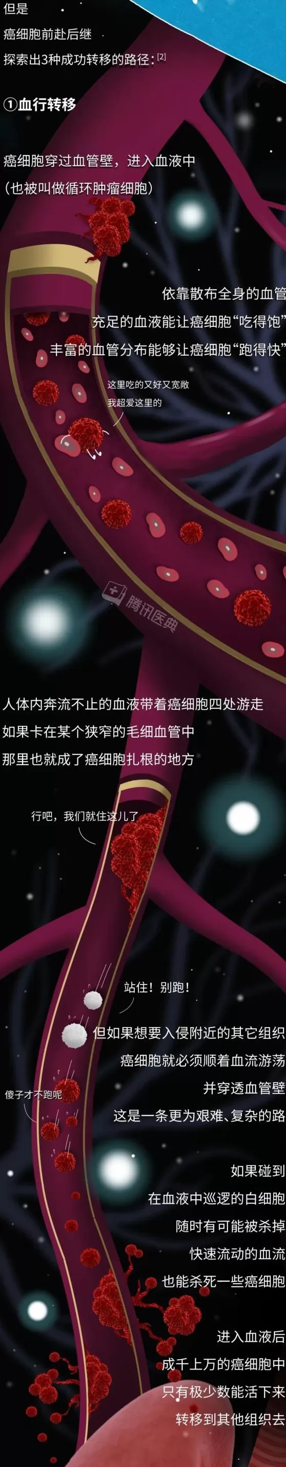 癌细胞，是怎样在身体里跑来跑去的？-第5张图片-