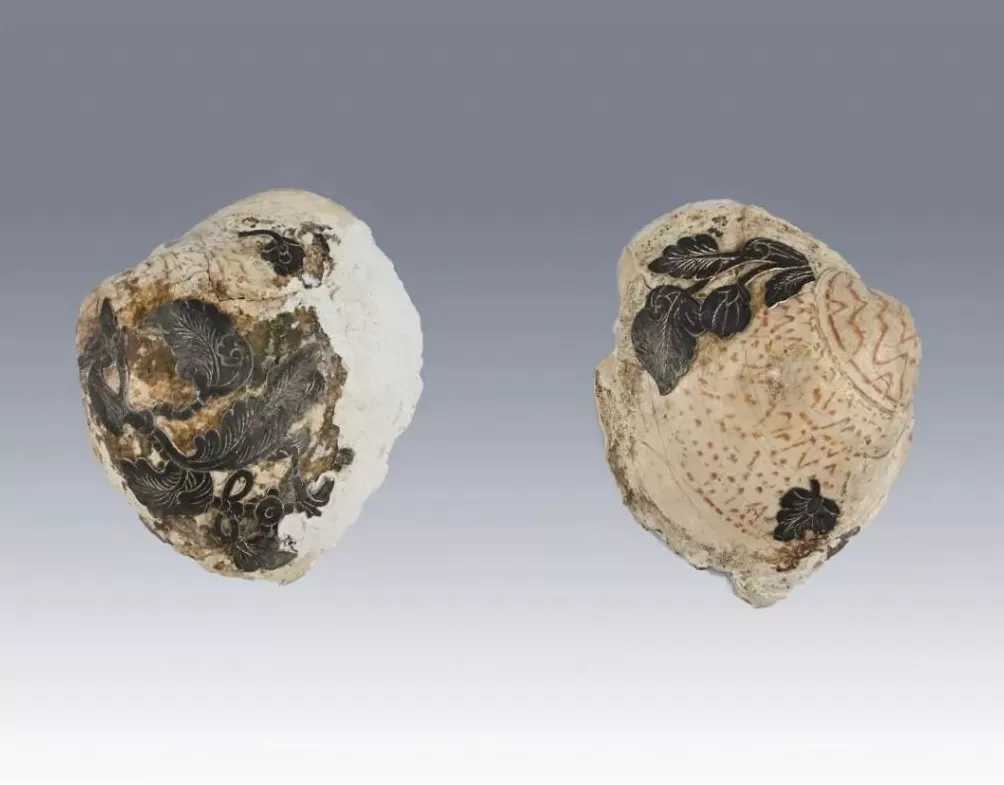 陕西发现唐朝宰相张九龄夫人墓-第5张图片- 陕西发现唐朝宰相张九龄夫人墓-第5张图片-