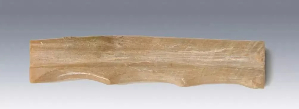 陕西发现唐朝宰相张九龄夫人墓-第10张图片- 陕西发现唐朝宰相张九龄夫人墓-第10张图片-