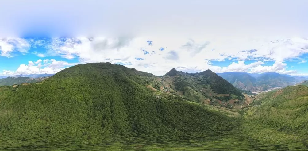 云南一93岁老人上山捡菌失联近两天后获救,被发现时意识清醒-第1张图片- 云南一93岁老人上山捡菌失联近两天后获救,被发现时意识清醒-第1张图片-