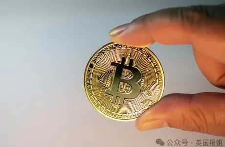 中国“妖姬”卷走470亿成英史上最大诈骗犯？骗走13万老人养老钱，手段太恶！-第14张图片-