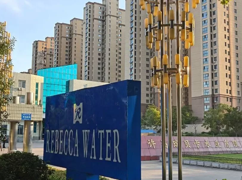 “假发大王”31亿存货之谜-第2张图片-