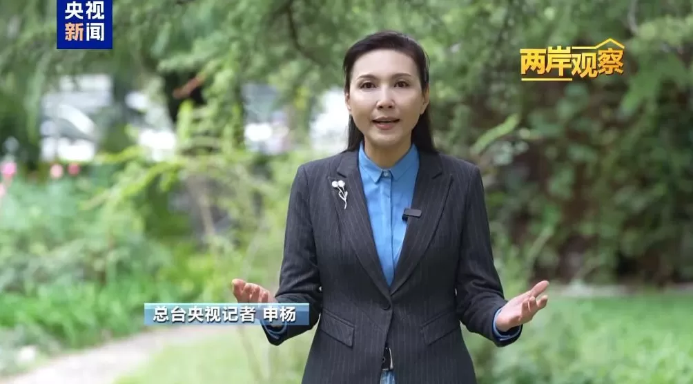 赖清德妄图“以武谋独”只会给台湾带来灾难-第9张图片-