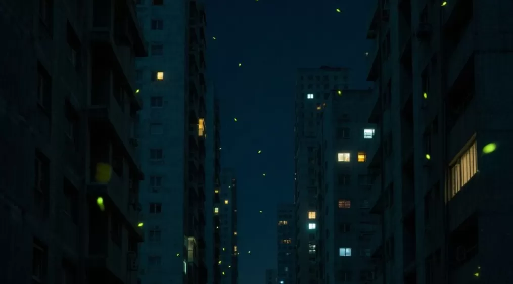 夜读｜暗夜微光-第1张图片-