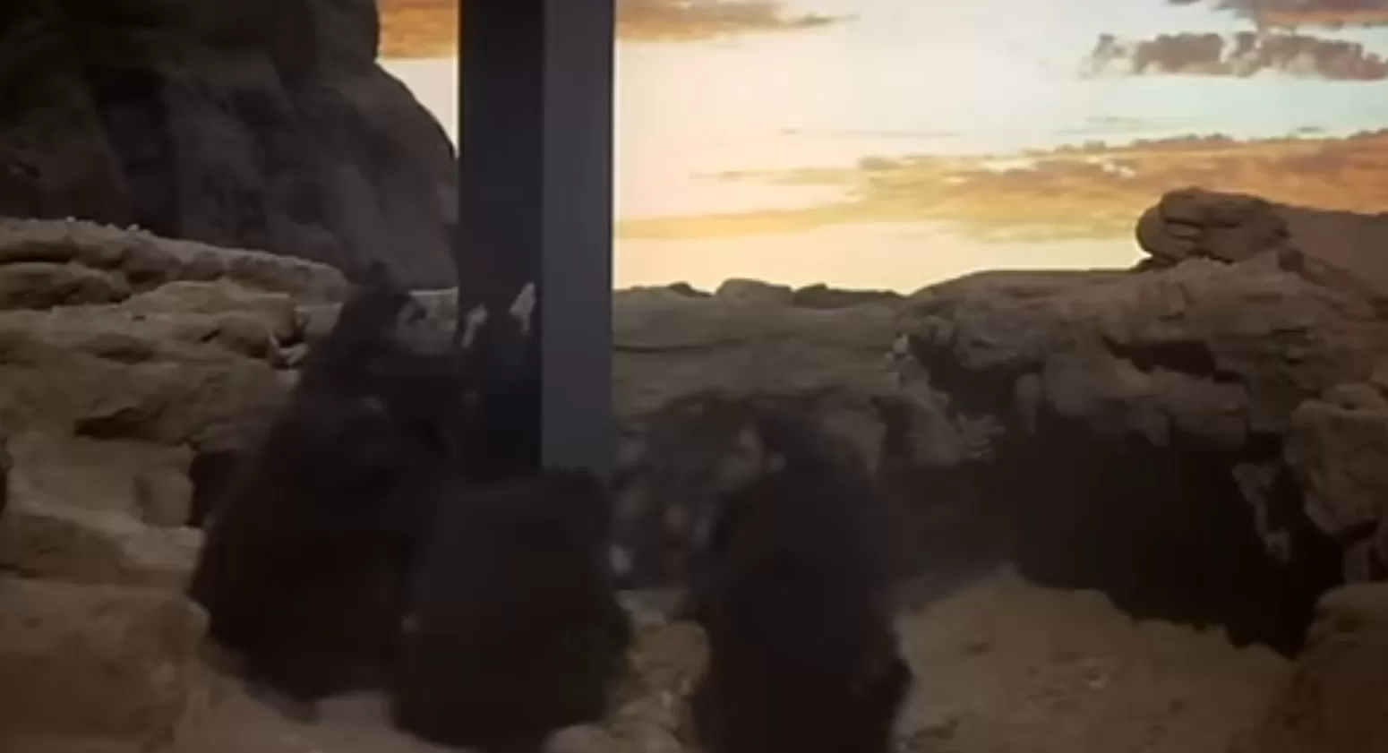 意大利影视中的法西斯主义:“世纪之子”还是“不良诗人”?-第15张图片- 意大利影视中的法西斯主义:“世纪之子”还是“不良诗人”?-第15张图片-