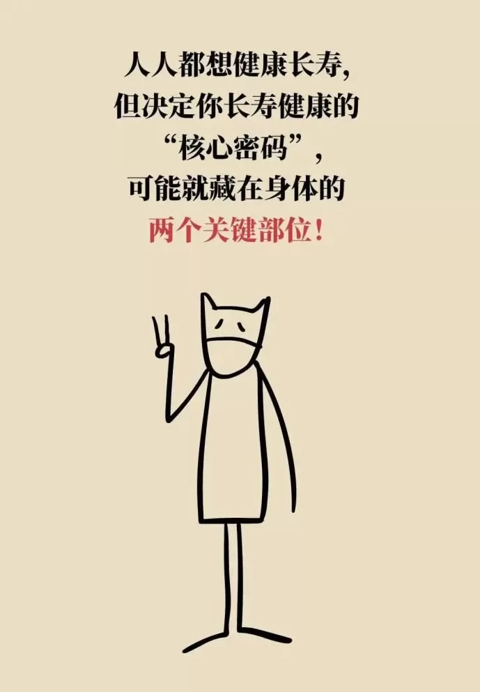 身体这两处年轻，长寿概率更大-第2张图片-