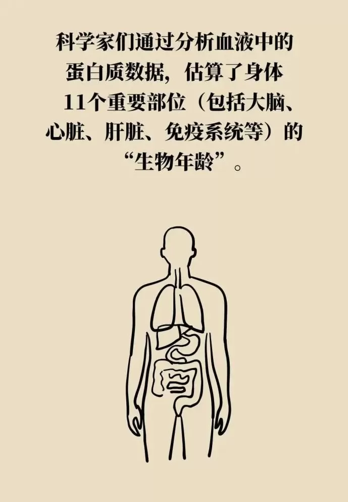 身体这两处年轻，长寿概率更大-第6张图片-