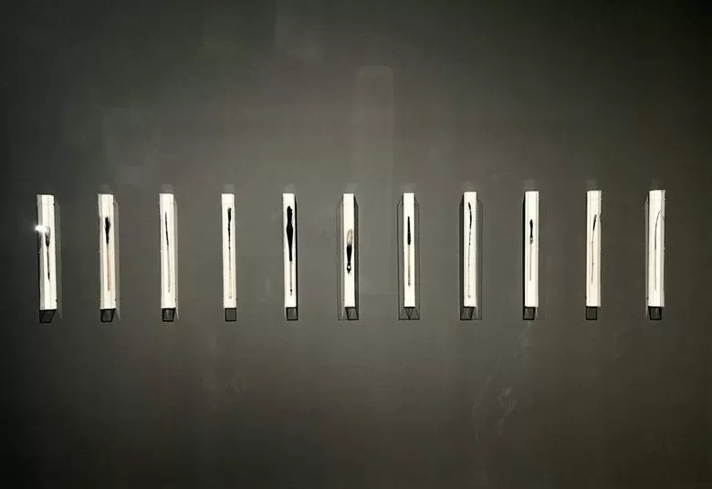书写如何回到造笔之初？南艺新展“石虎书”-第4张图片-