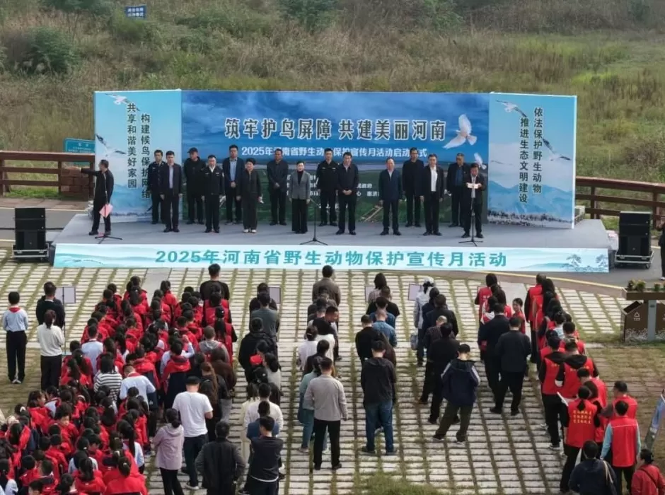 黄河滩毒死8只野生小天鹅?2人获刑!河南打击非法涉鸟专项行动来了-第3张图片- 黄河滩毒死8只野生小天鹅?2人获刑!河南打击非法涉鸟专项行动来了-第3张图片-