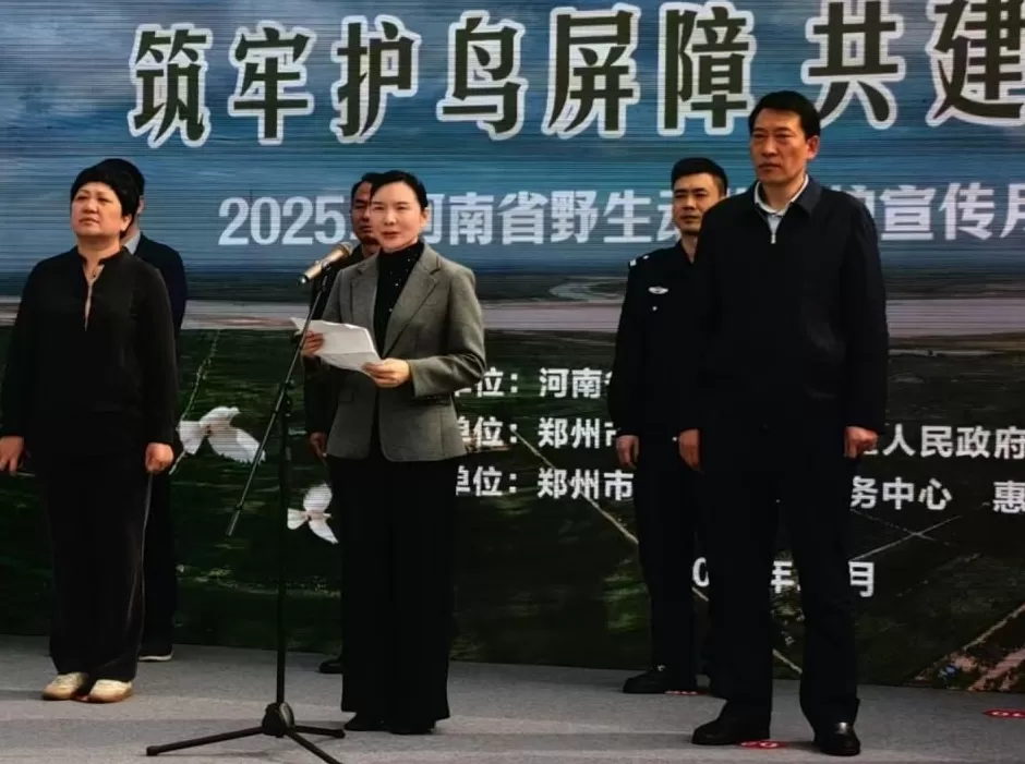 黄河滩毒死8只野生小天鹅?2人获刑!河南打击非法涉鸟专项行动来了-第2张图片- 黄河滩毒死8只野生小天鹅?2人获刑!河南打击非法涉鸟专项行动来了-第2张图片-