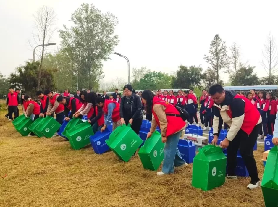 黄河滩毒死8只野生小天鹅?2人获刑!河南打击非法涉鸟专项行动来了-第7张图片- 黄河滩毒死8只野生小天鹅?2人获刑!河南打击非法涉鸟专项行动来了-第7张图片-