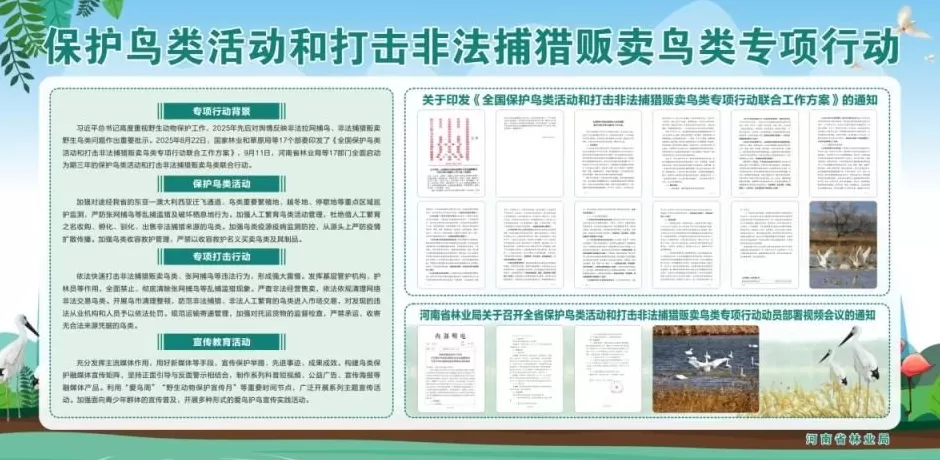 黄河滩毒死8只野生小天鹅?2人获刑!河南打击非法涉鸟专项行动来了-第10张图片- 黄河滩毒死8只野生小天鹅?2人获刑!河南打击非法涉鸟专项行动来了-第10张图片-