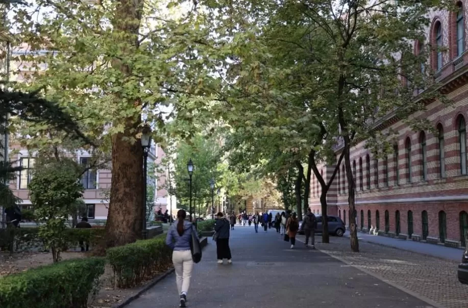 诺贝尔文学奖|在布达佩斯寻找拉斯洛与匈牙利文学的孤独荣光-第8张图片- 诺贝尔文学奖|在布达佩斯寻找拉斯洛与匈牙利文学的孤独荣光-第8张图片-