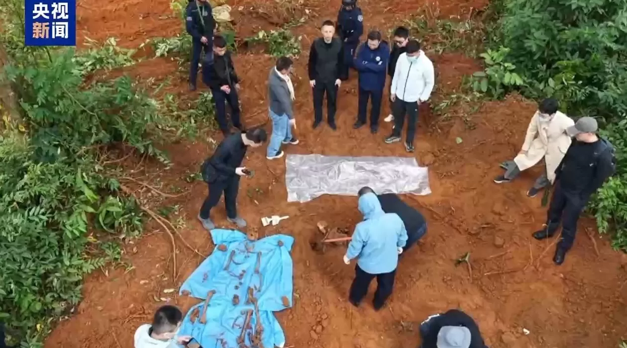 武装力量有编制、接班人杀人祭天，缅北果敢魏家犯罪集团专案细节曝光-第13张图片-