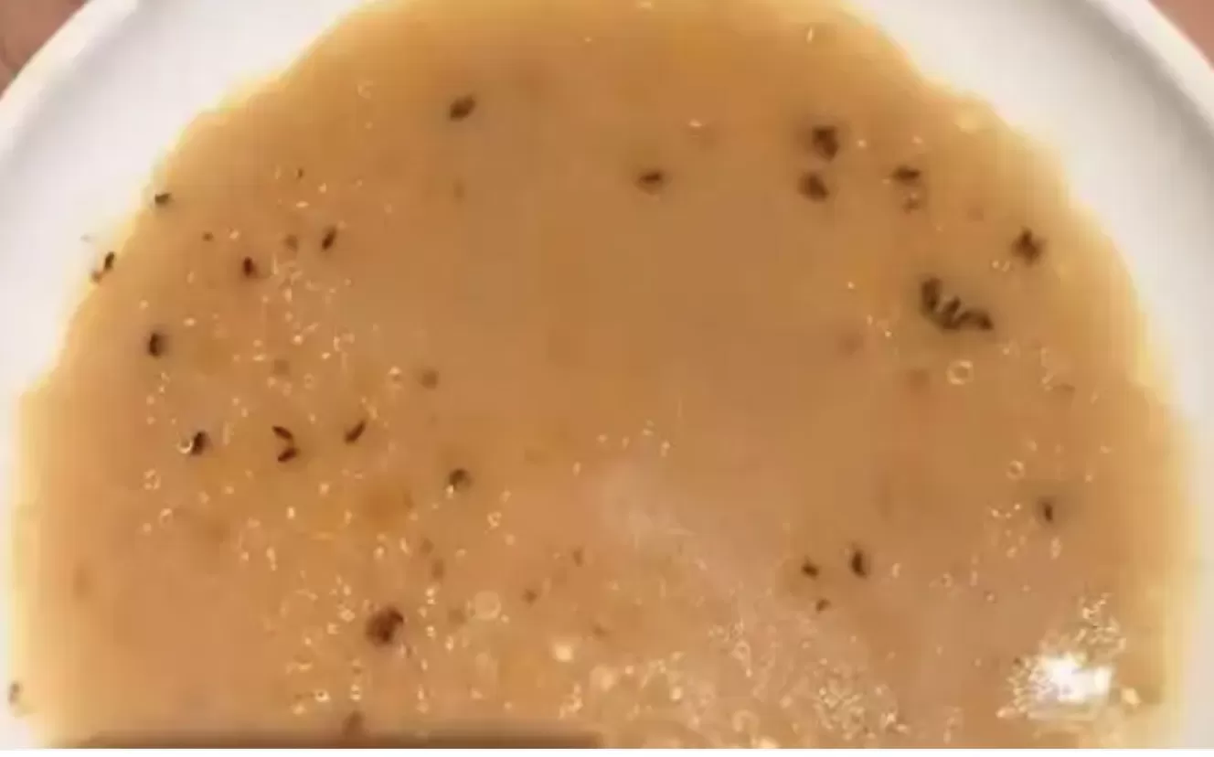 面汤中出现大量黑虫？味千拉面：涉事门店已停业整改-第1张图片-