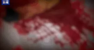 “随便找个陌生人杀了祭天”,缅北魏家接班人回应:没什么感受-第4张图片- “随便找个陌生人杀了祭天”,缅北魏家接班人回应:没什么感受-第4张图片-