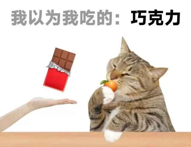 大脑变老的迹象，竟是从鼻子开始的？-第3张图片-