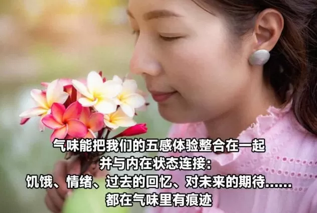 大脑变老的迹象，竟是从鼻子开始的？-第6张图片-