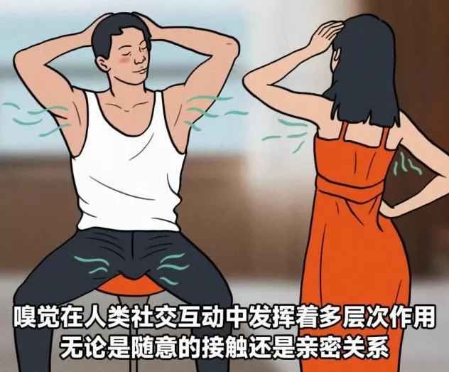 大脑变老的迹象，竟是从鼻子开始的？-第4张图片-