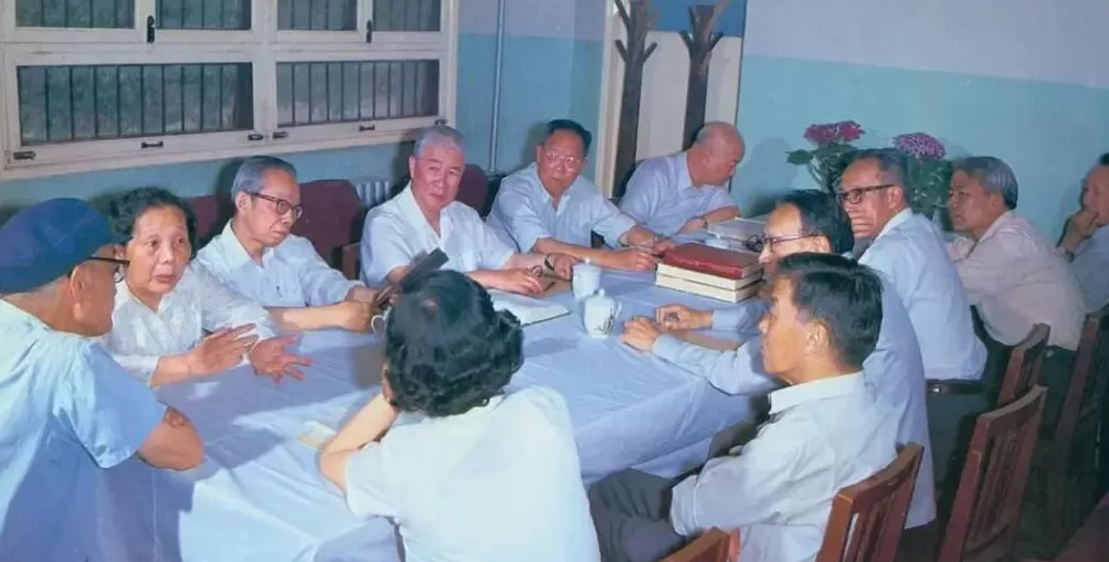 唐驳虎：为何巴基斯坦并不侵犯中国稀土技术？-第11张图片-