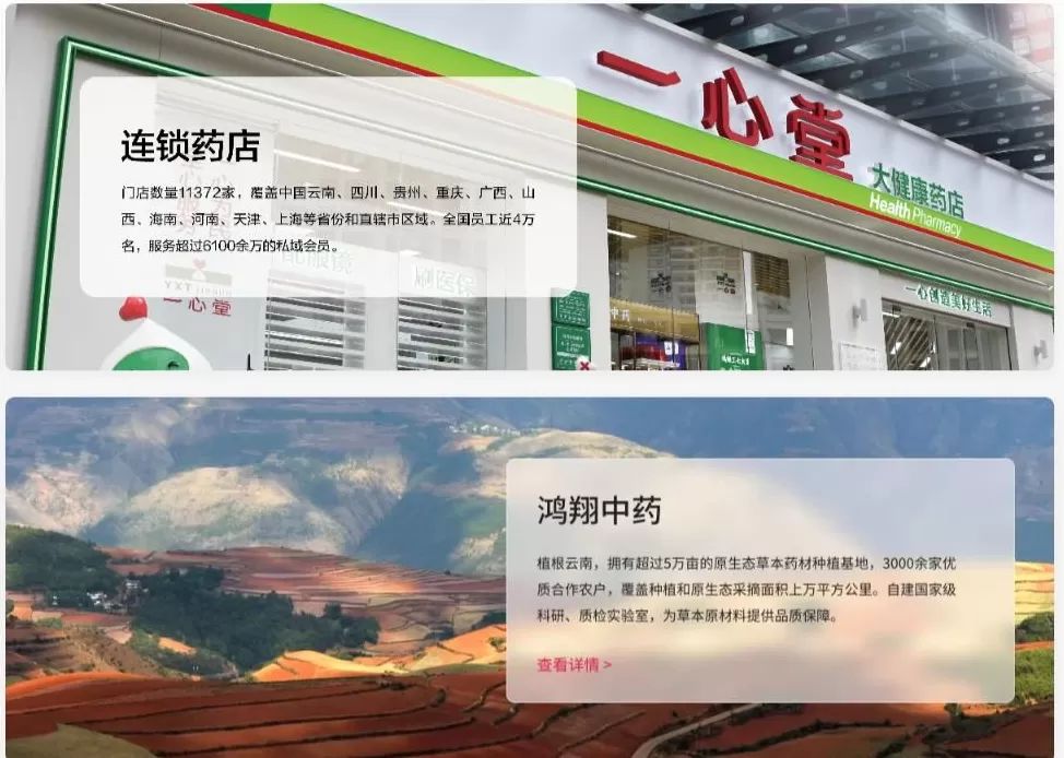 又一门店被查处，一心堂的“后约谈时代”仍存合规漏洞-第7张图片-