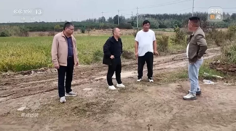 黄淮地区持续阴雨，如何克服秋收变质问题-第2张图片-