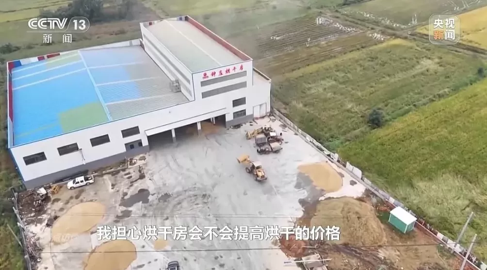 黄淮地区持续阴雨，如何克服秋收变质问题-第3张图片-