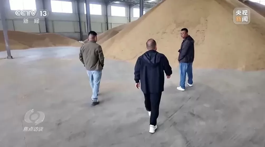 黄淮地区持续阴雨，如何克服秋收变质问题-第4张图片-