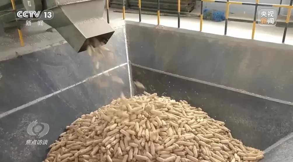 黄淮地区持续阴雨，如何克服秋收变质问题-第13张图片-