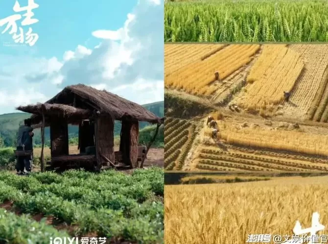 这个国庆假期，哪座小城又被影视IP带火？-第2张图片-