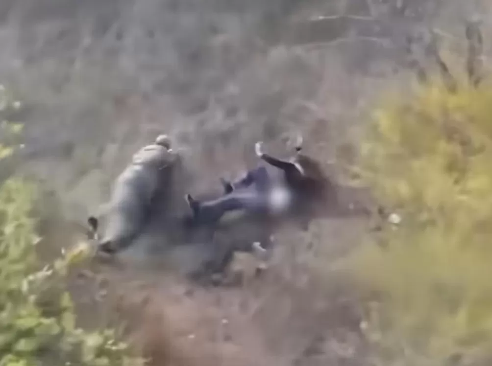 俄媒曝光视频：无人机救下一名正遭乌军性侵女子，士兵顾不上提裤子拔腿就逃，随后被击中-第2张图片-