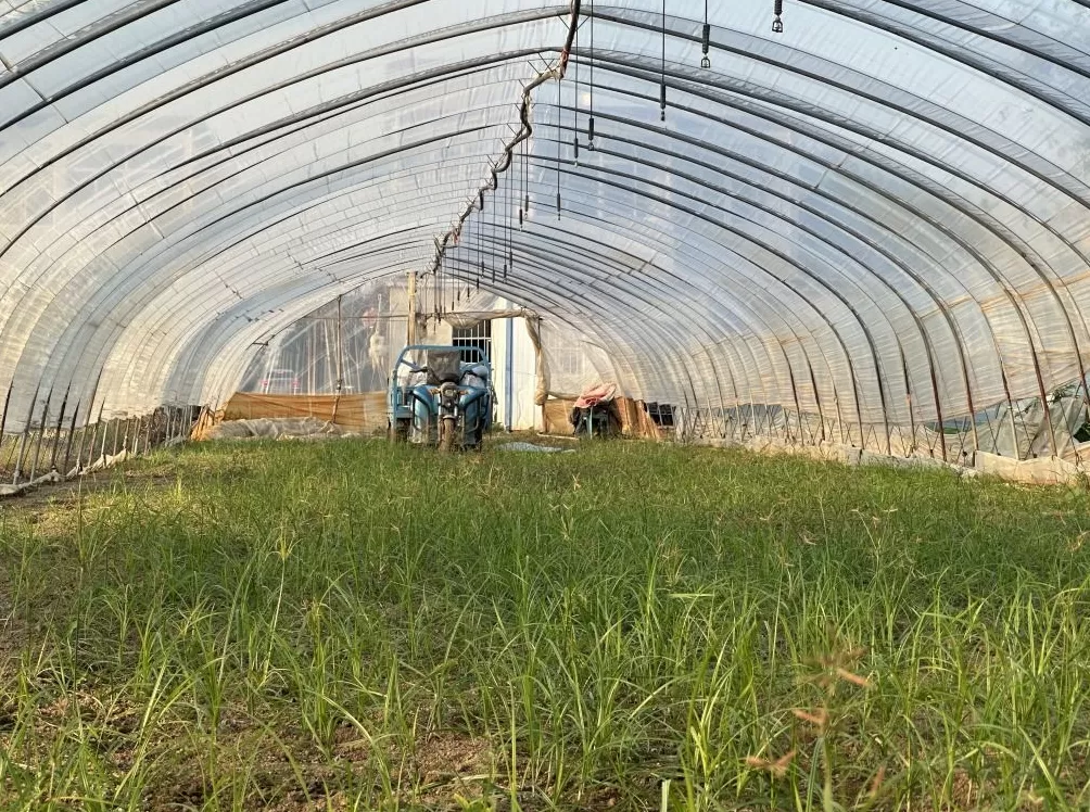 蚌埠一酒吧保安打人赔偿结案13年后:15人被公诉,同一事实出现两罪名-第5张图片- 蚌埠一酒吧保安打人赔偿结案13年后:15人被公诉,同一事实出现两罪名-第5张图片-