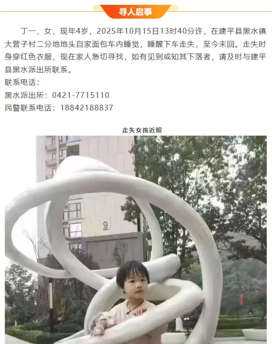 已超20小时！4岁女童在自家地头失踪，孩子姑姑：孩子在面包车内睡觉，车窗留有空隙，20分钟后消失不见-第2张图片-