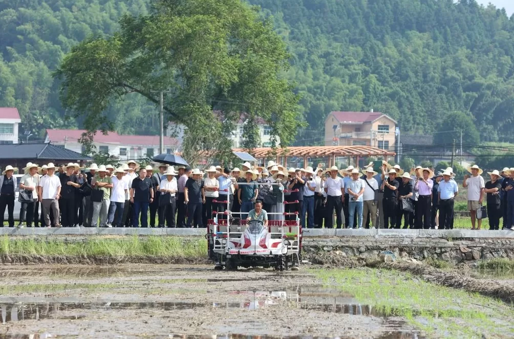 粮安天下的建宁护航：数字化赋能杂交稻制种第一县，再造农业新模式-第4张图片-