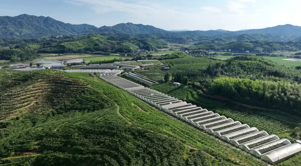 粮安天下的建宁护航：数字化赋能杂交稻制种第一县，再造农业新模式-第6张图片-