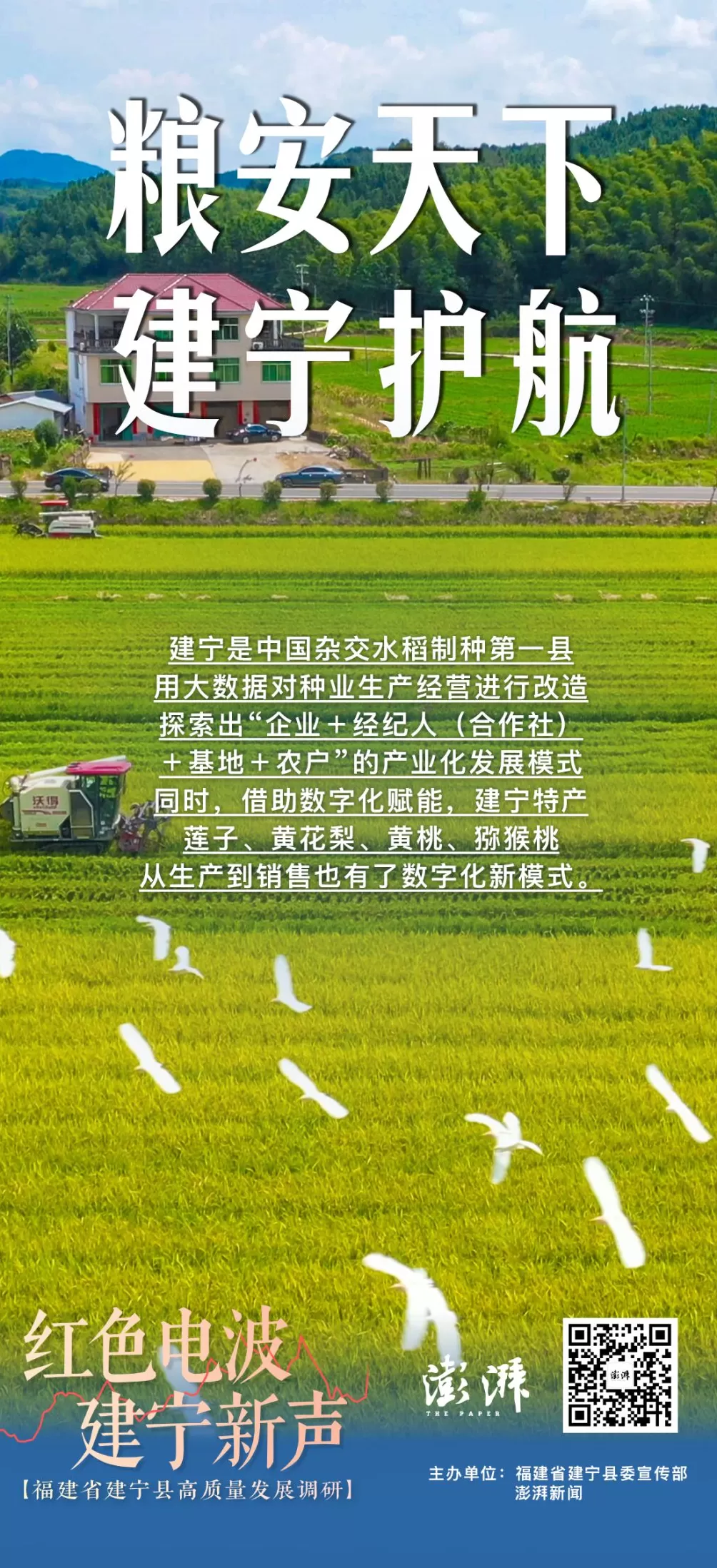 粮安天下的建宁护航：数字化赋能杂交稻制种第一县，再造农业新模式-第9张图片-