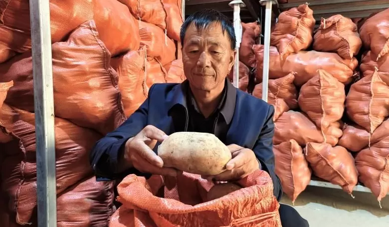 谁是金秋丰收王⑮|“土豆书记”咋把土豆变成“金蛋蛋”-第1张图片-