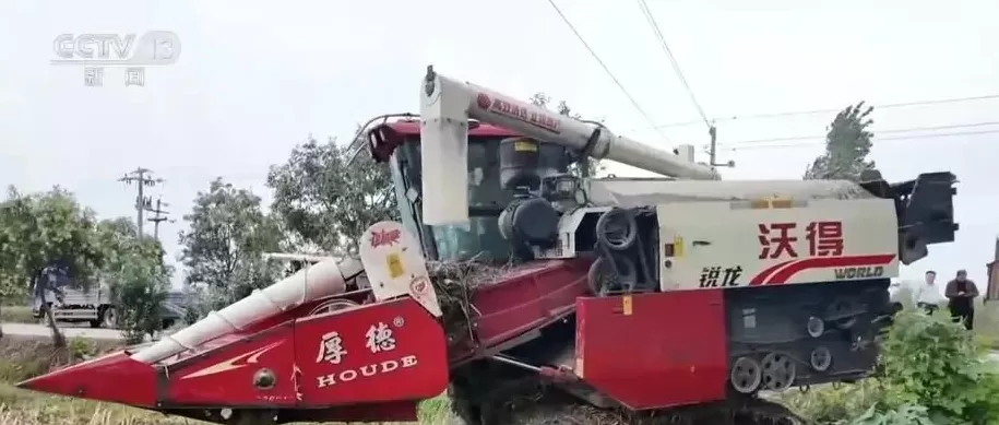 阴雨天气带来严峻考验，各地如何打好秋粮“保卫战”？-第2张图片-