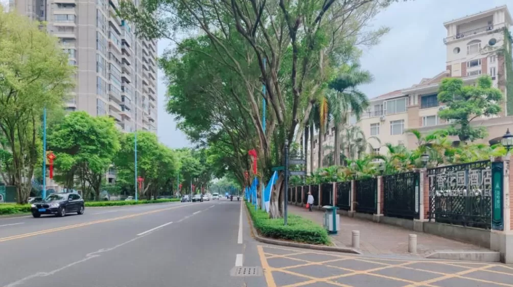 开幕燃情倒计时！清远全城满溢“全运热”！-第40张图片-